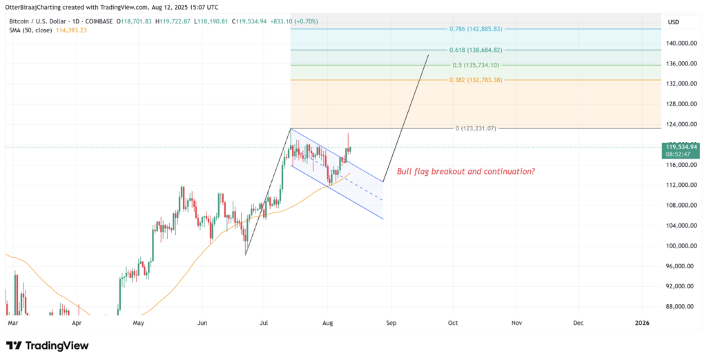 بررسی نمودار روزانه قیمت بیت کوین - منبع: TradingView